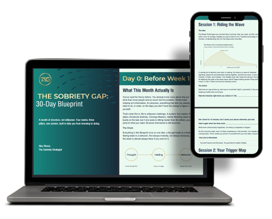 30 Day Blueprint Product Mockup